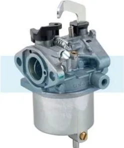 Carburateur Pour Moteur Kawasaki (150032034)