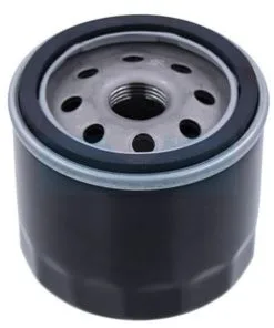 Filtre à Huile Pour Gravely (21397200)