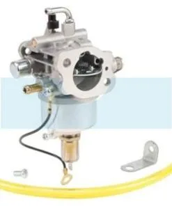 Carburateur Pour Moteur Kawasaki (999966055)